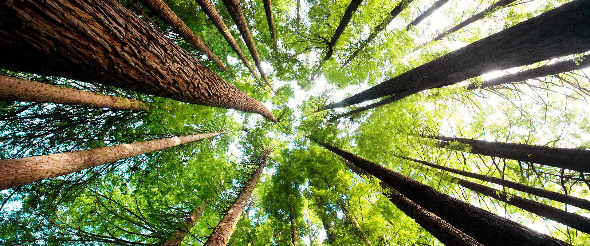 Jornada webinar Regional Infoday CV LIFE 2023 Networking Online