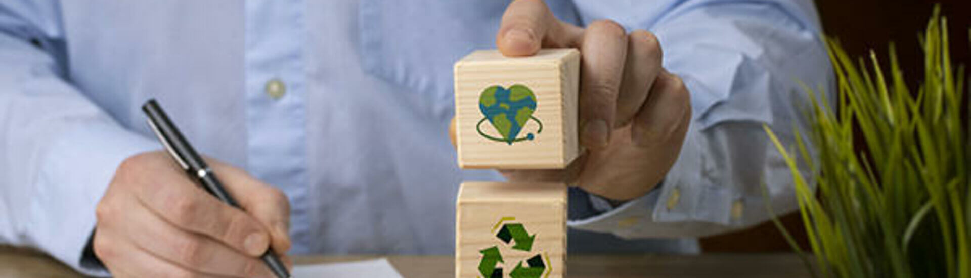 Cómo llevar la sostenibilidad a las compras de tu empresa