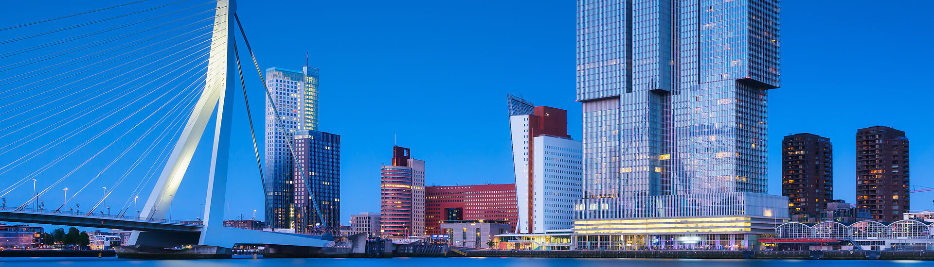 Oportunidades de Negocio en Países Bajos_