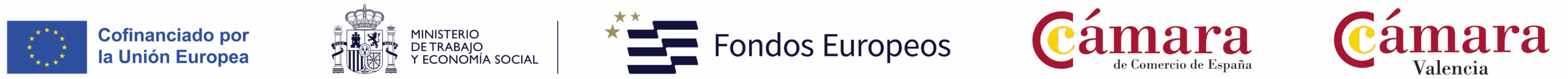 Orientadores FP