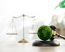 ¿Qué impuestos ambientales aplican a mi empresa en 2025?