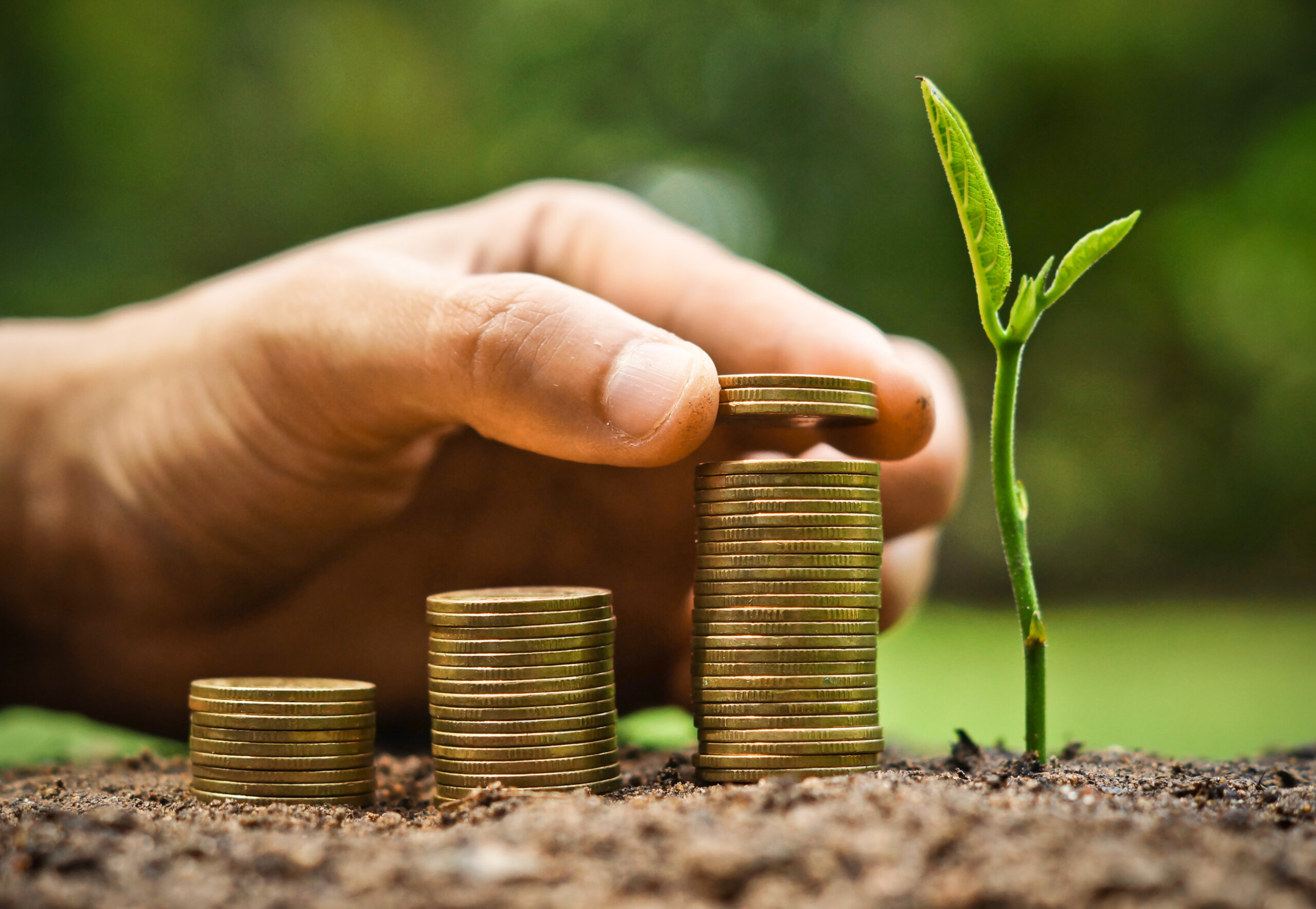 La Bioeconomía, oportunidad de nuevas empresas sostenibles