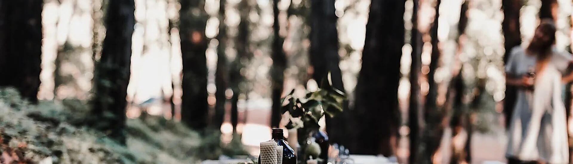 ISO 20121: organización de eventos sostenibles con  impacto positivo